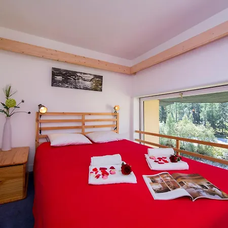 Residence Grand Roc - Campanules 112 - Happy Rentals Chamonix Exterior photo
